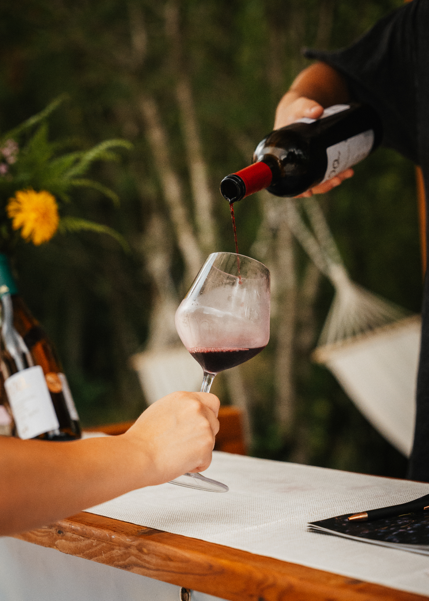 Wine tasting at Gulsunda